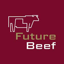 FutureBeef